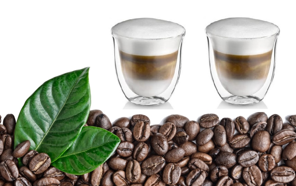 Set 2 pahare thermo  cu pereti dubli, CAPPUCCINO, 240ml , DelCaffe