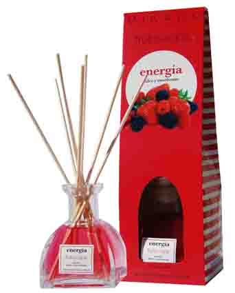 Apa De Parfum Camera,Frutos Rojos,100ML , Mikado