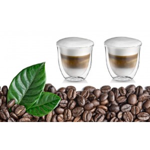 Set 2 pahare thermo  cu pereti dubli, CAPPUCCINO, 240ml , DelCaffe