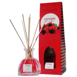 Apa De Parfum Camera,Frutos Rojos,100ML , Mikado